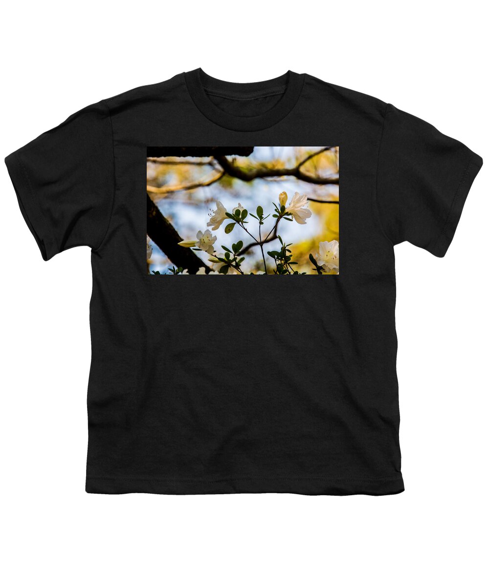 Whie Azaleas Under A Dogwood Tree Framed Prints Youth T-Shirt featuring the photograph White Azaleas Under a Dogwood Tree by John Harding