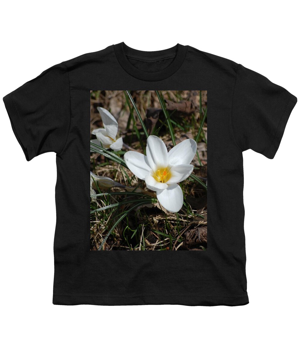 Digital Photography Youth T-Shirt featuring the photograph white Crocus by David Lane