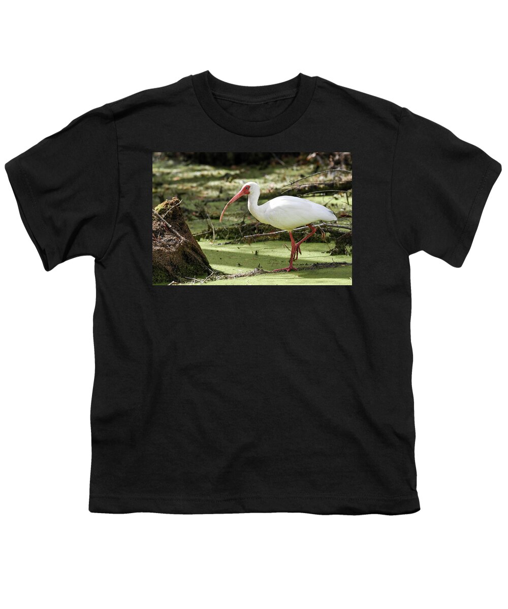 Nature Youth T-Shirt featuring the photograph White Ibis by Gary Wightman