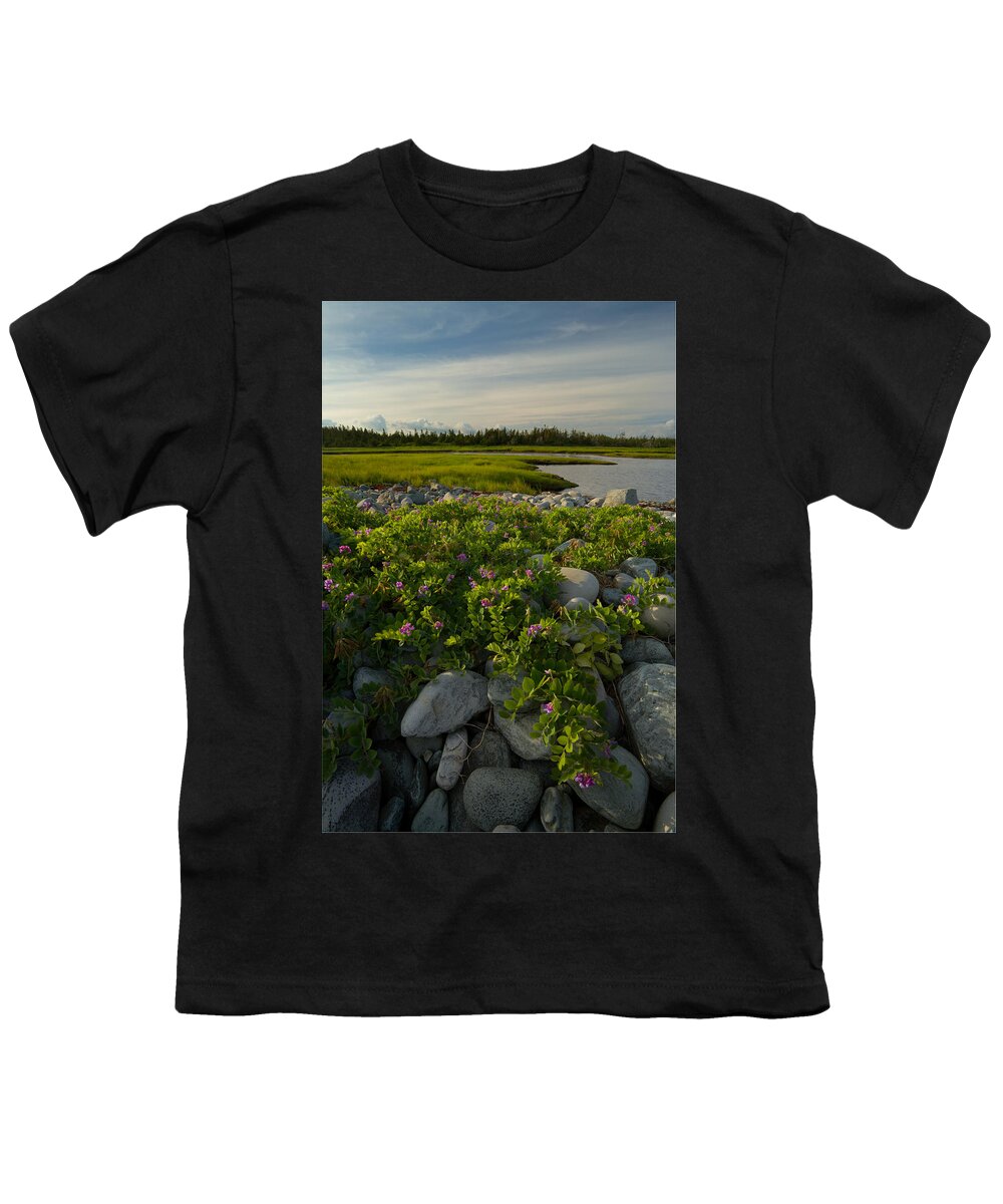 Wildflowers Youth T-Shirt featuring the photograph Wild Coastal Garden #2 by Irwin Barrett