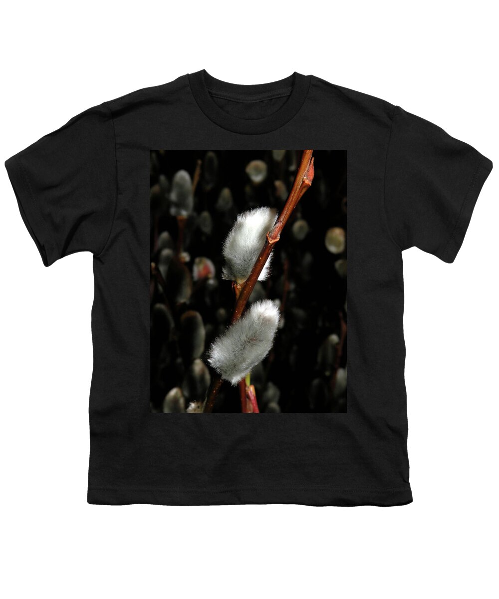Pussy Willow Youth T-Shirt featuring the photograph Willow by Trish Tritz