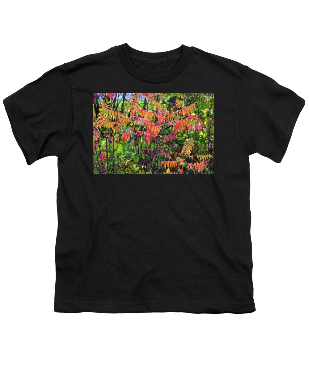 Wisconsin Youth T-Shirt featuring the photograph Wisconsin Fall Colors along I-39 by Ray Mathis