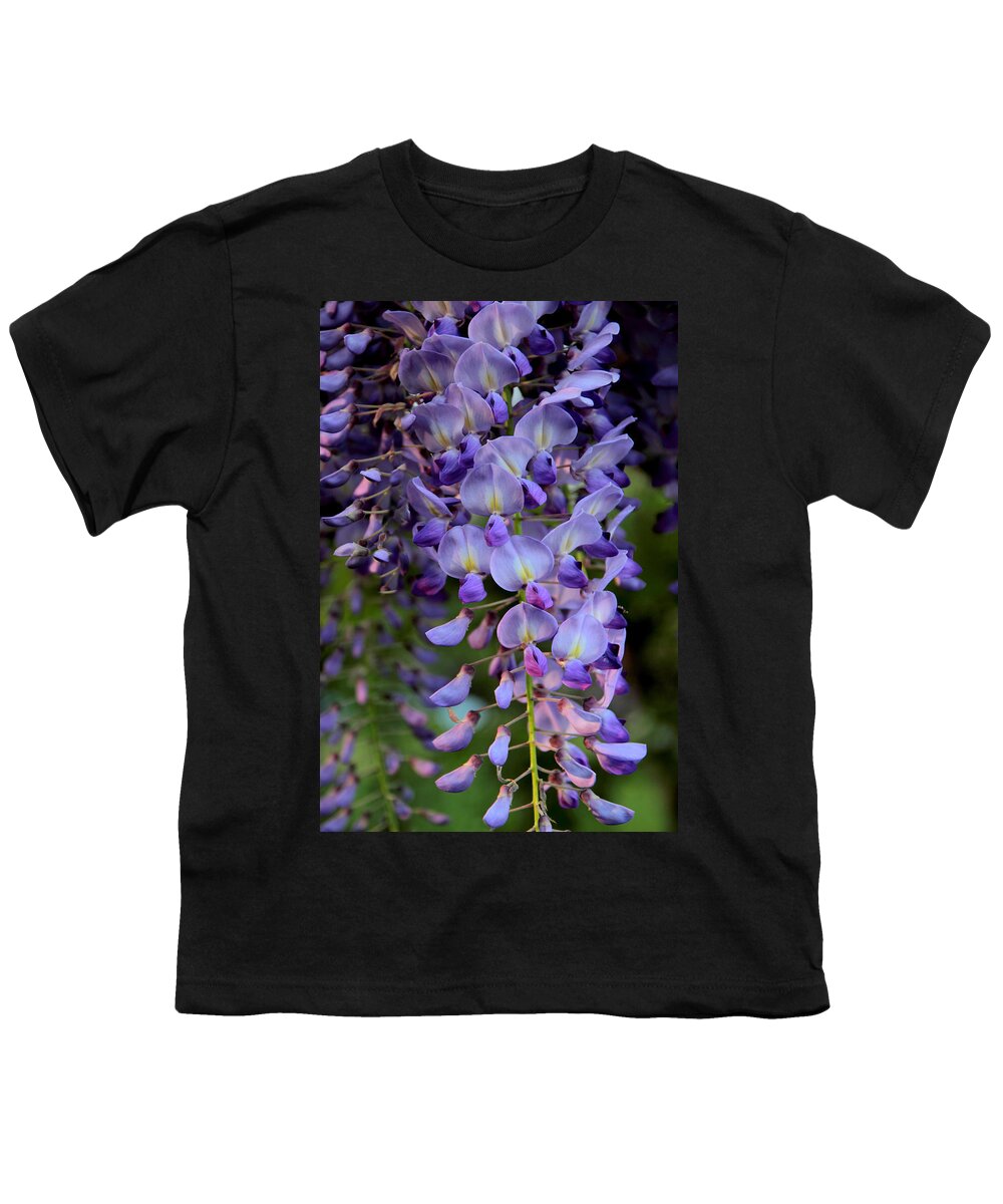 Wisteria Youth T-Shirt featuring the photograph Wisteria in Bloom by Jessica Jenney