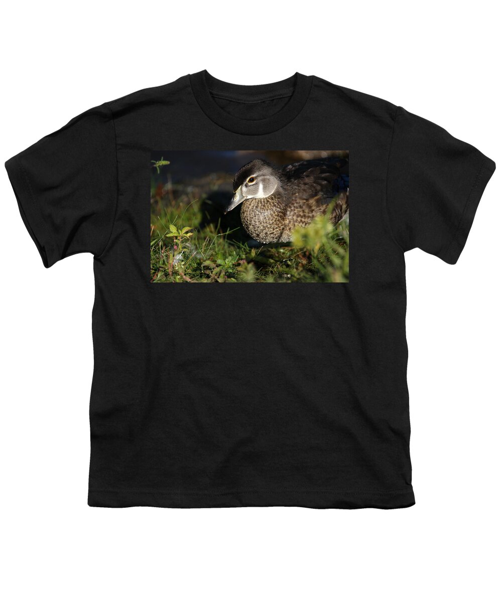 Wood Duck Youth T-Shirt featuring the photograph Wood Duck Female by Karol Livote