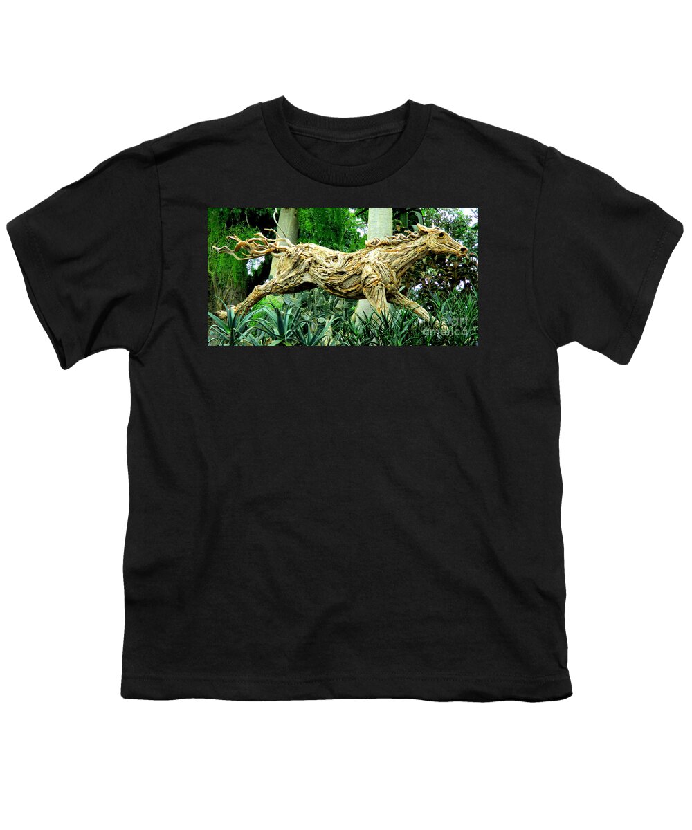 Wooden Horse Youth T-Shirt featuring the photograph Wooden Horse by Randall Weidner