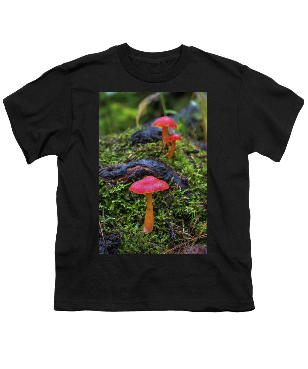 Bill Pevlor Youth T-Shirt featuring the photograph Woodland Floor Decor by Bill Pevlor