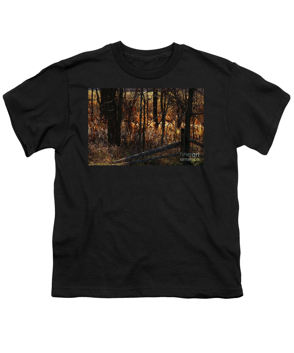 Michigan Youth T-Shirt featuring the photograph Woods - 1 by Linda Shafer