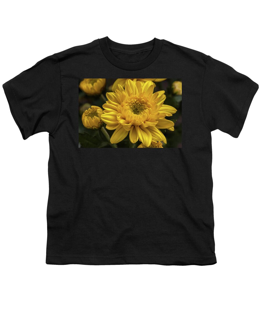 Flower Youth T-Shirt featuring the photograph Yellow chrysanthemum flower by Tim Abeln