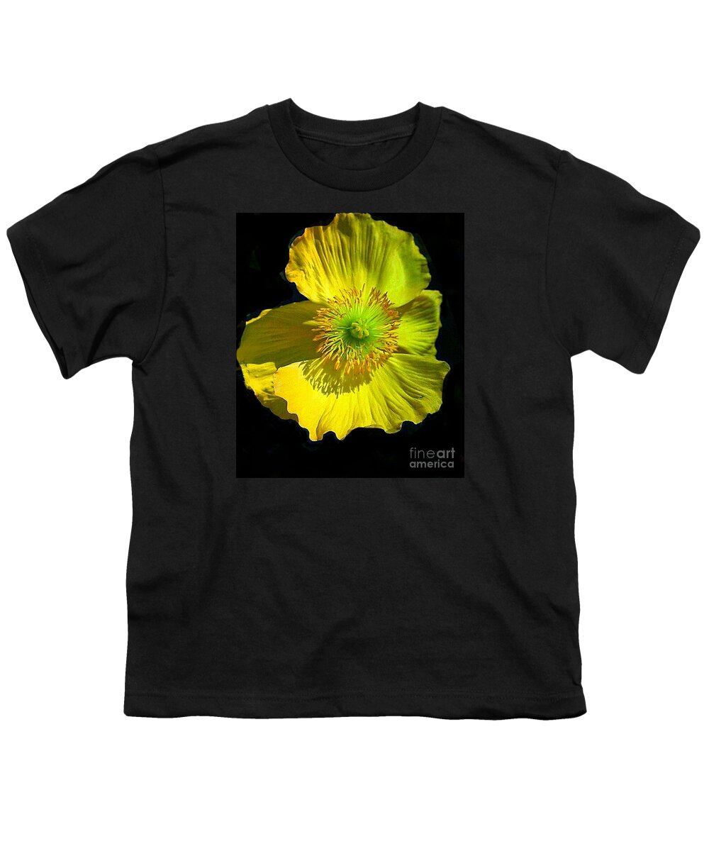 Windflowers Youth T-Shirt featuring the digital art Yellow Windflower On Black by Pamela Smale Williams