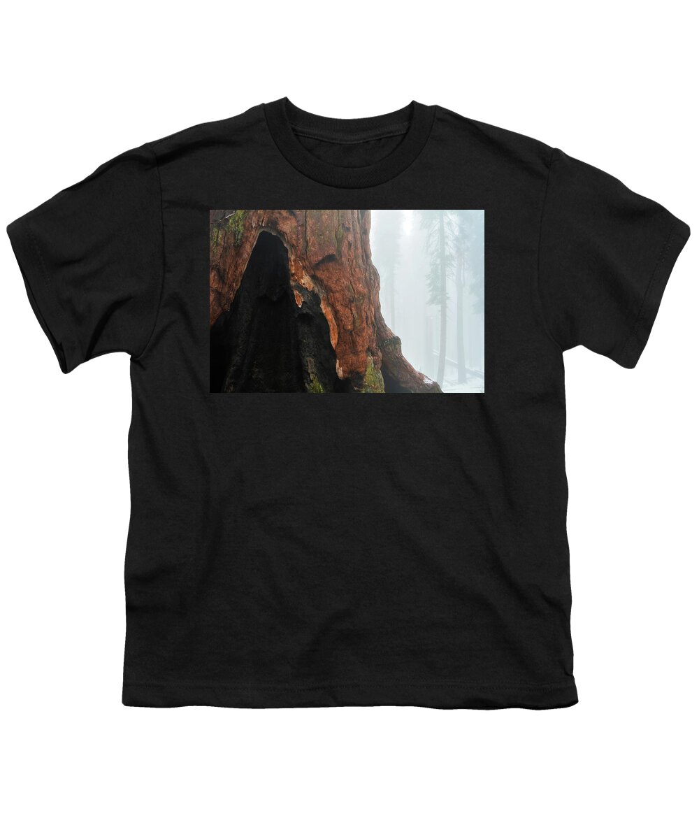 Yosemite National Park Youth T-Shirt featuring the photograph Yosemite Giant Sequoia by Kyle Hanson