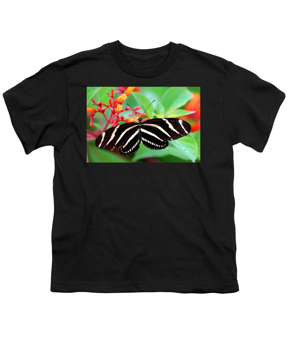 Zebra Longwing Butterfly Youth T-Shirt featuring the photograph Zebra Longwing Butterfly by Carol Montoya
