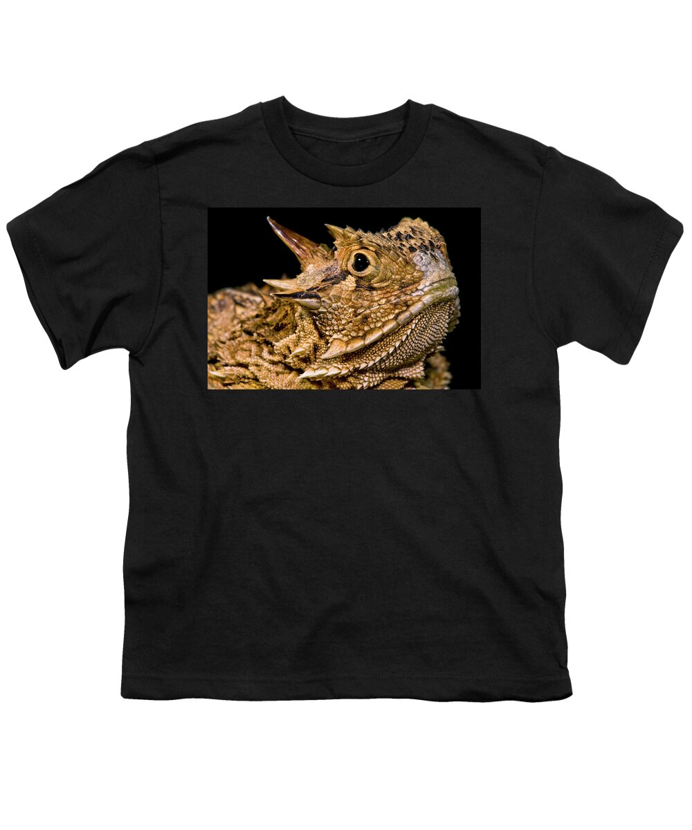 Animal Youth T-Shirt featuring the photograph Texas Horned Lizard Phrynosoma Cornutum #2 by Dante Fenolio