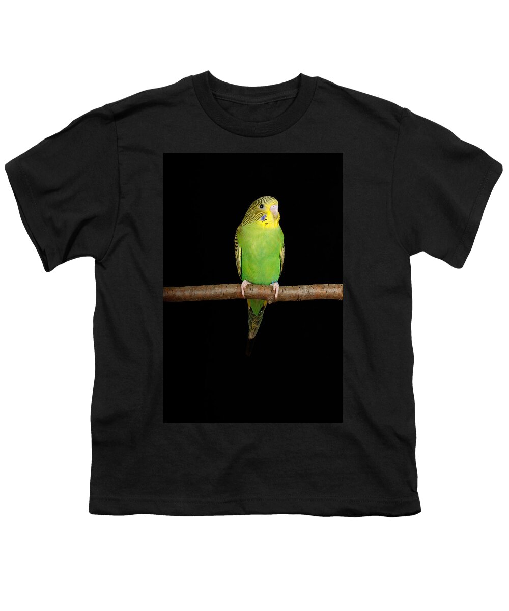 American Budgie Youth T-Shirt featuring the photograph Budgerigar Melopsittacus Undulatus #9 by David Kenny