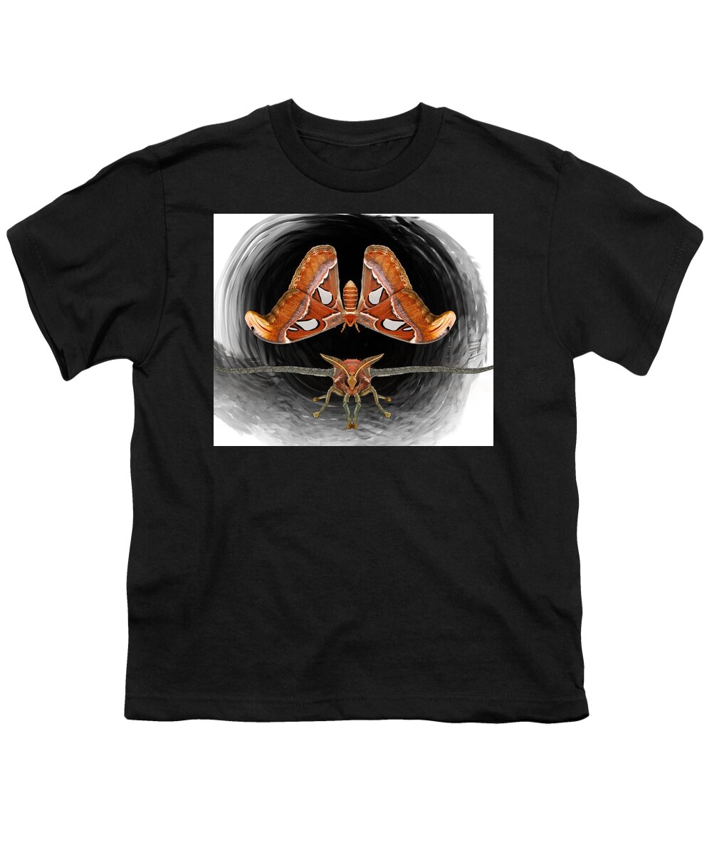 Atlas Moth Youth T-Shirt featuring the drawing A is For Atlas Moth by Joan Stratton