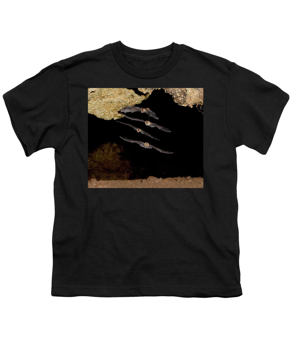 Africa Youth T-Shirt featuring the photograph African Trident Bats by Ivan Kuzmin
