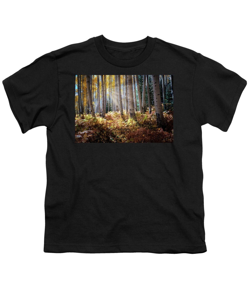 Aspens Youth T-Shirt featuring the photograph Aspen Alley by David Soldano
