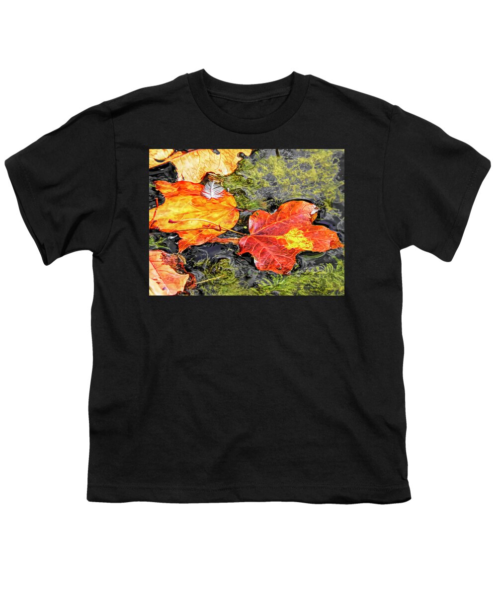 Autumn Youth T-Shirt featuring the photograph Autumn Leaves by Susan Hope Finley