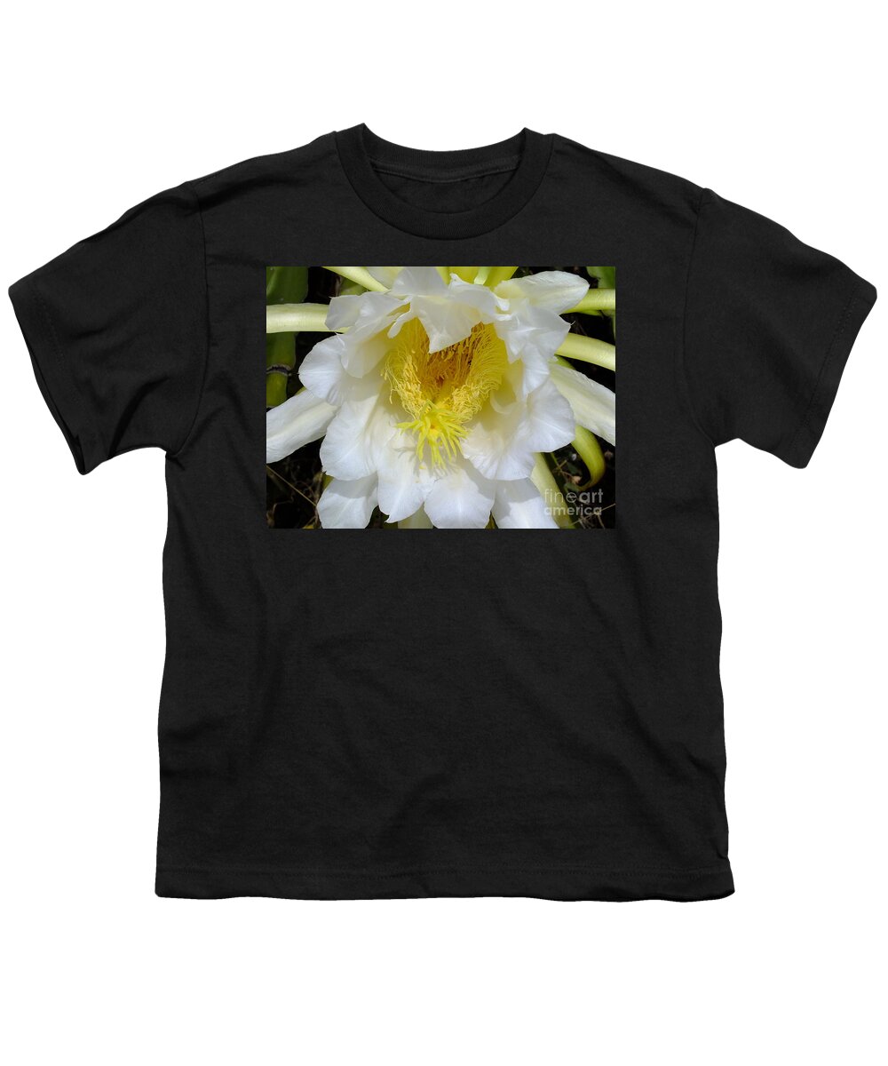 Cactus Youth T-Shirt featuring the digital art Cactus smile by Yenni Harrison