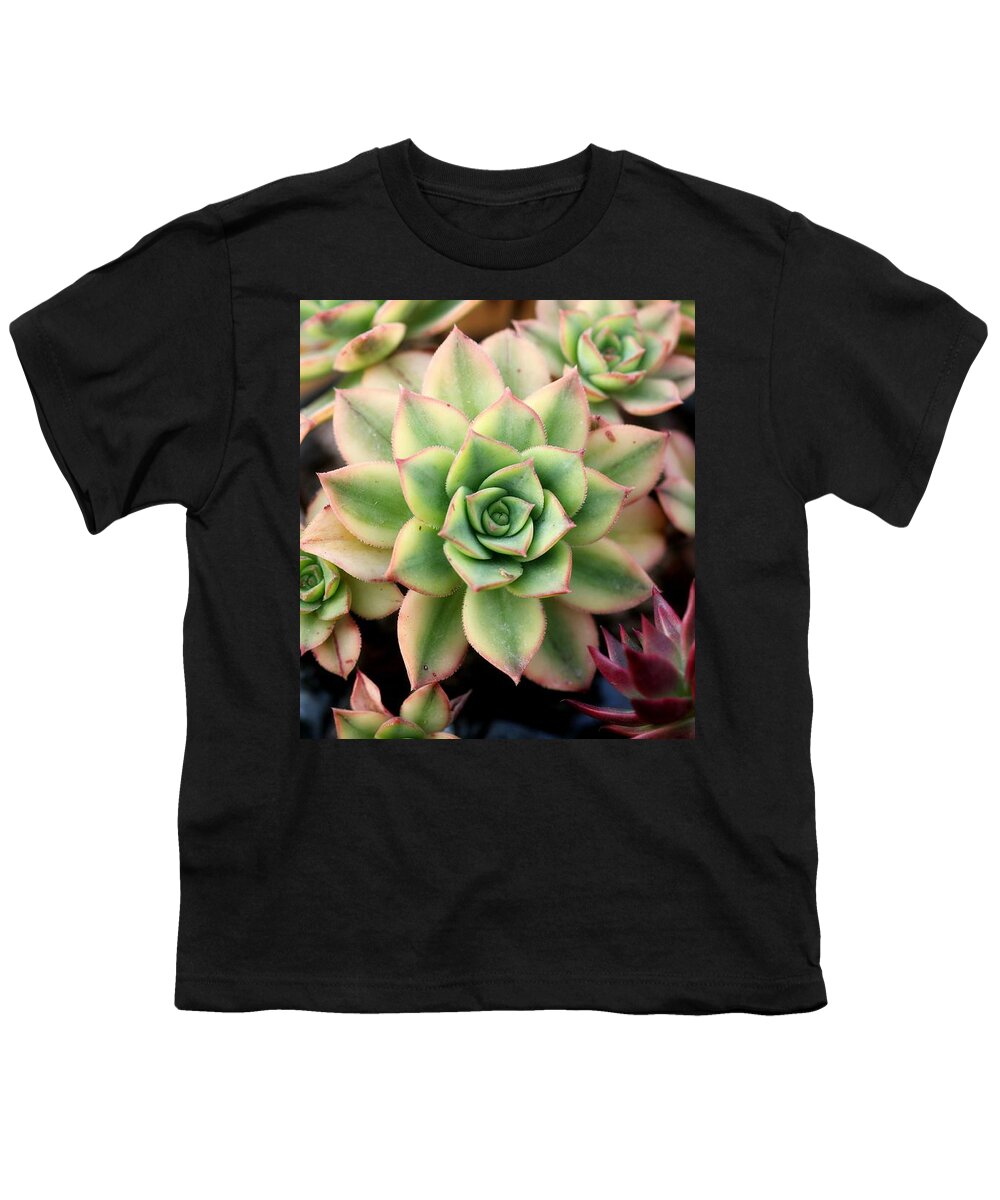 Cute Youth T-Shirt featuring the photograph Cute succulent by Top Wallpapers