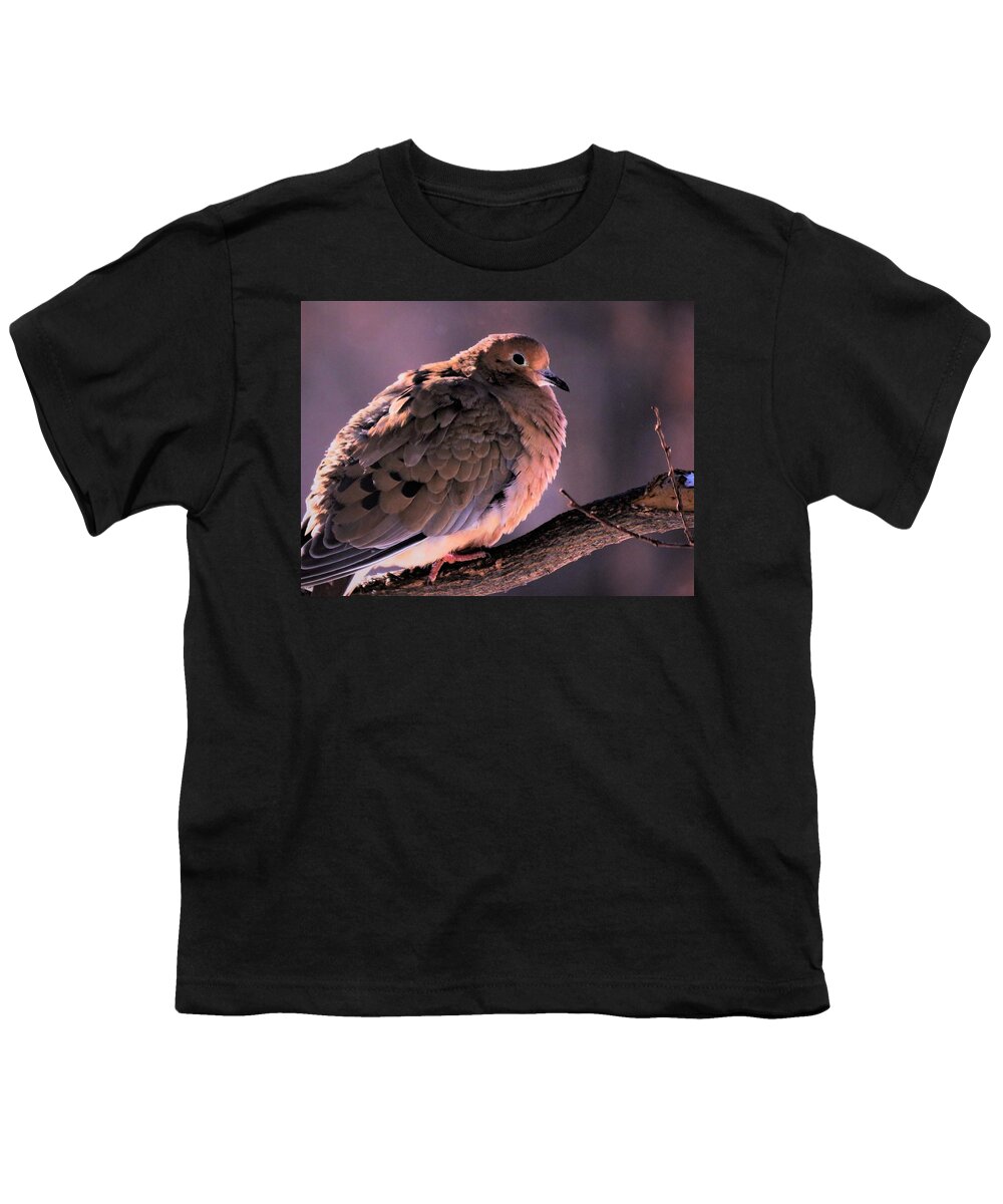 Mourning Doves Youth T-Shirt featuring the photograph Dove in Evening Light by Lori Frisch