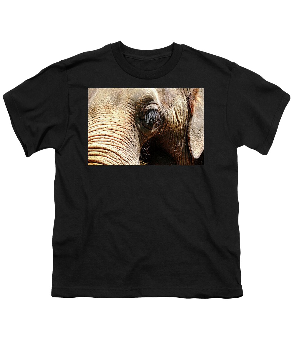 Elephant Youth T-Shirt featuring the photograph Elephant Eye by Debbie Oppermann