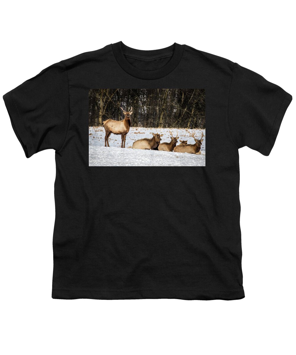 Animal Youth T-Shirt featuring the photograph Elk by Bill Chizek