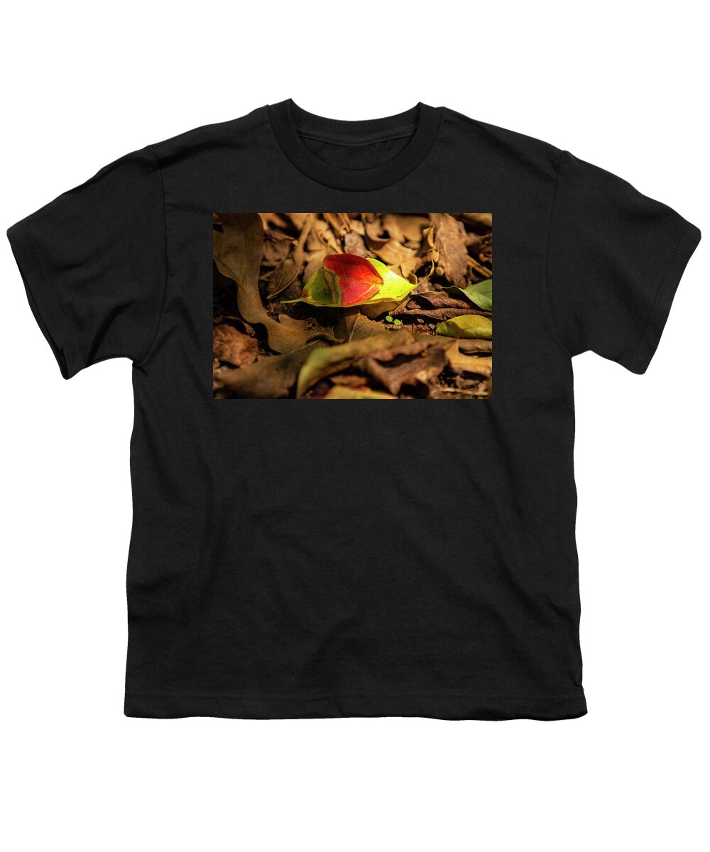 Photo Youth T-Shirt featuring the photograph Fall Colors by Jason Hughes