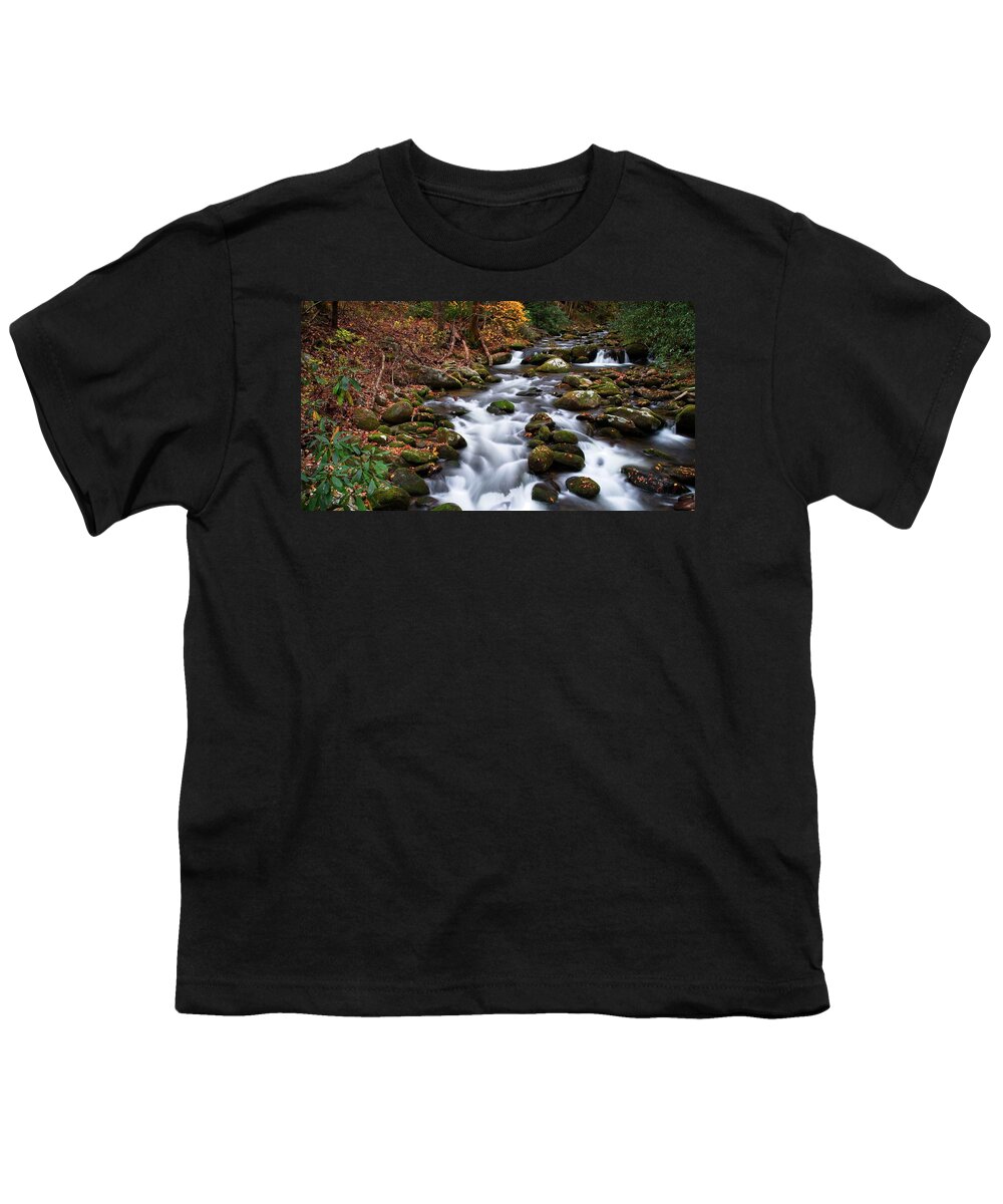 Gsmnp Youth T-Shirt featuring the photograph Fall Time by Dave Files