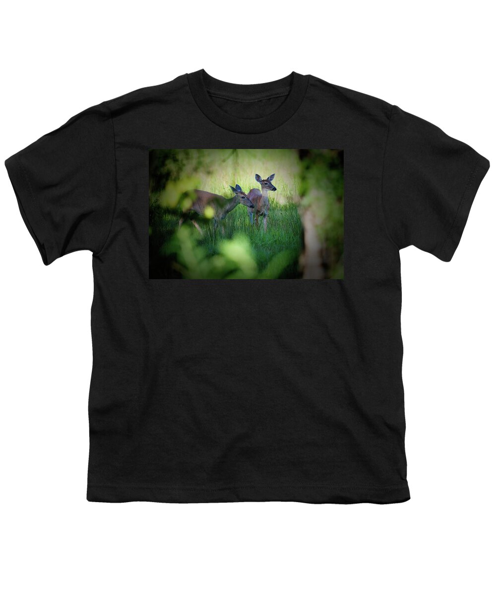 White-tailed Youth T-Shirt featuring the photograph Framed Two Deer by T Lynn Dodsworth
