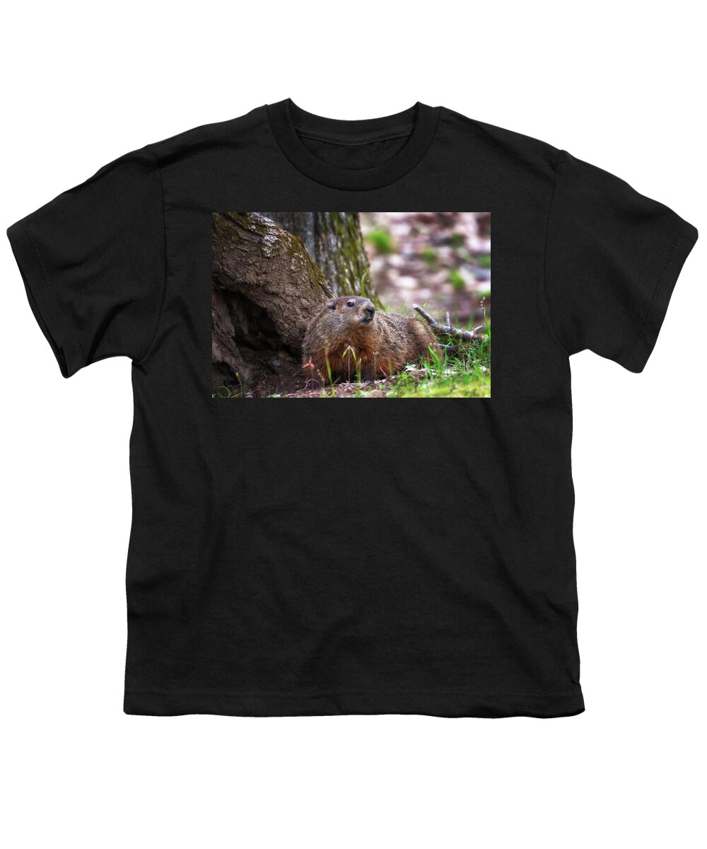 Groundhog Youth T-Shirt featuring the photograph Groundhog by Susan Rissi Tregoning