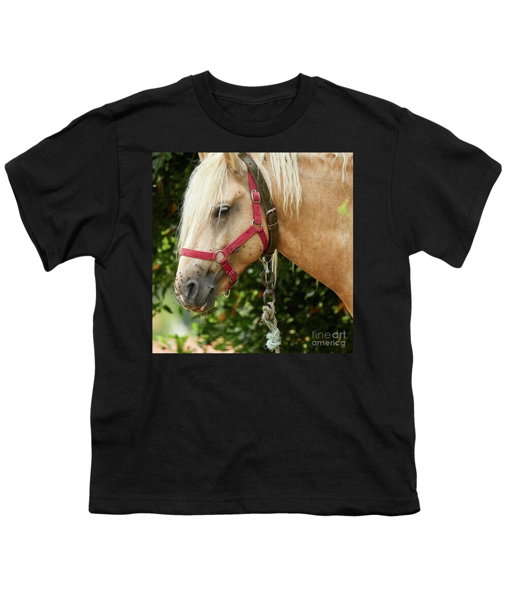 Horseriding Youth T-Shirt featuring the photograph Horse Head Close Up Red Brown and White by Pablo Avanzini