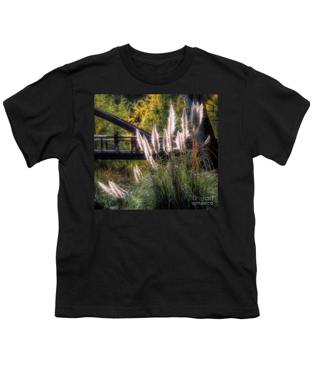Autumn Youth T-Shirt featuring the photograph Light Nature Cattails Explore by Chuck Kuhn