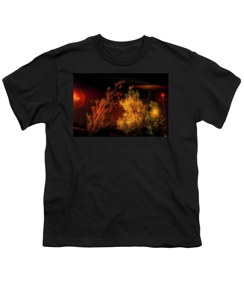 Ufo Youth T-Shirt featuring the photograph Lights in the sky by Micah Offman