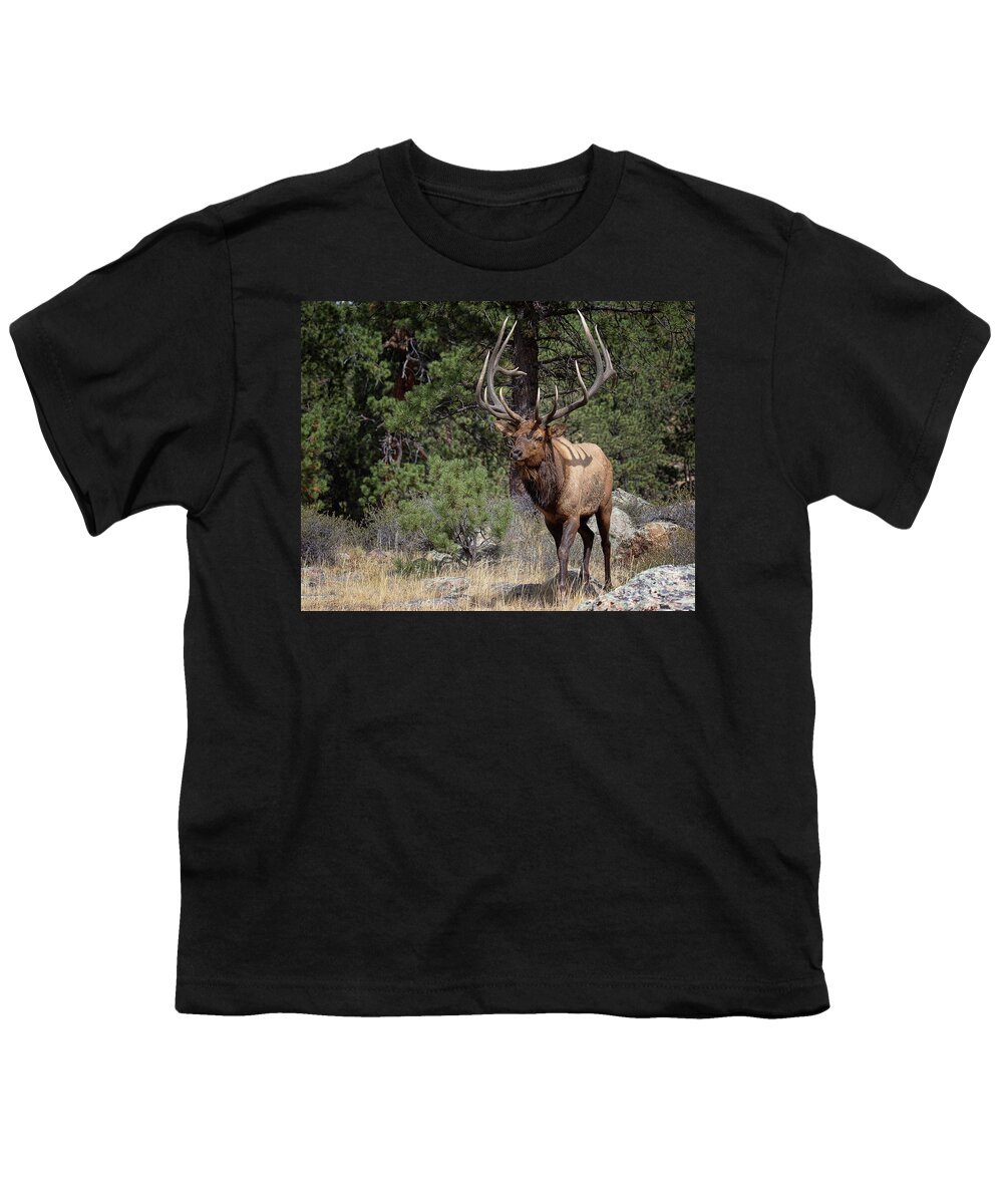 Elk Youth T-Shirt featuring the photograph Majesty in Motion by Jim Garrison