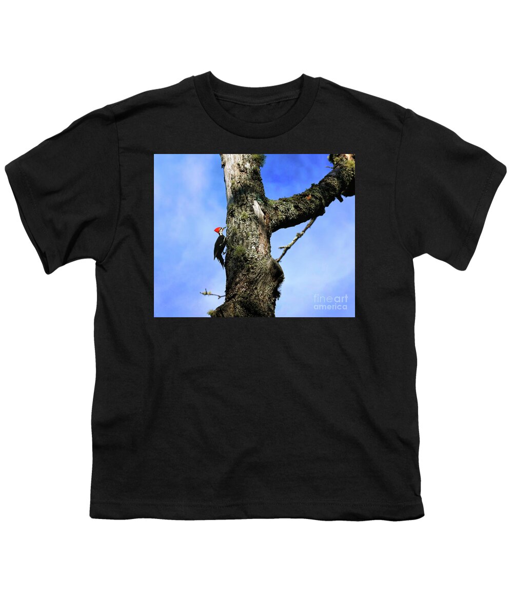 Woodpecker Youth T-Shirt featuring the photograph Male Pileated Woodpecker by Kerri Farley