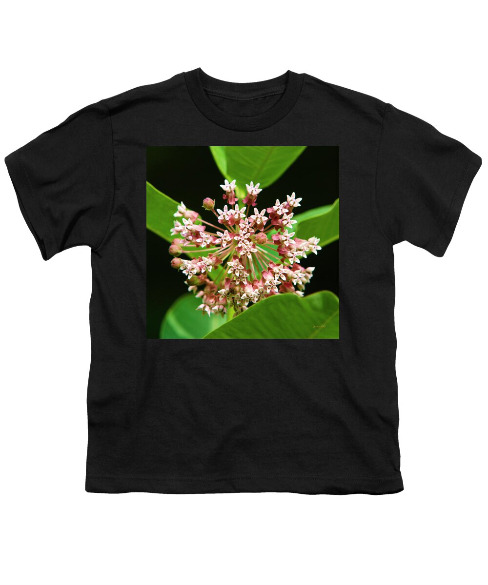 Milkweed Youth T-Shirt featuring the photograph Milkweed Flower by Christina Rollo