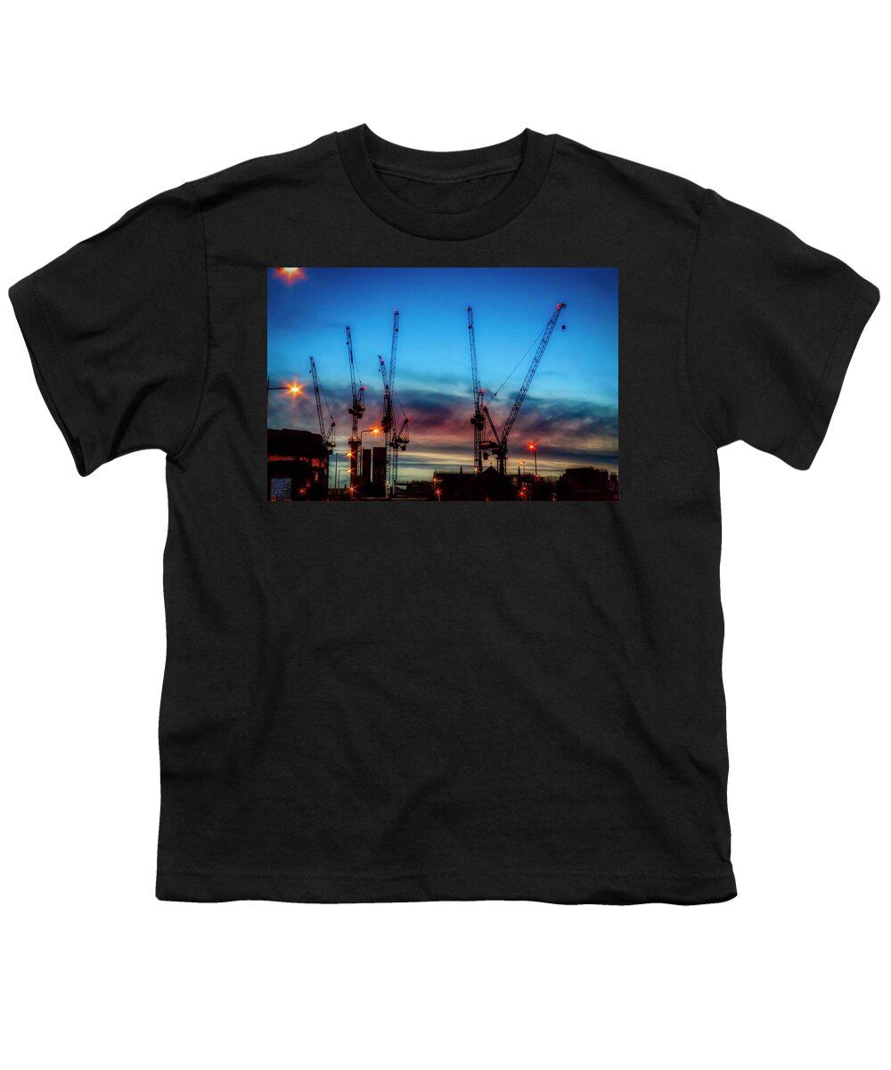 Cranes Youth T-Shirt featuring the photograph Nativity scenes by Micah Offman