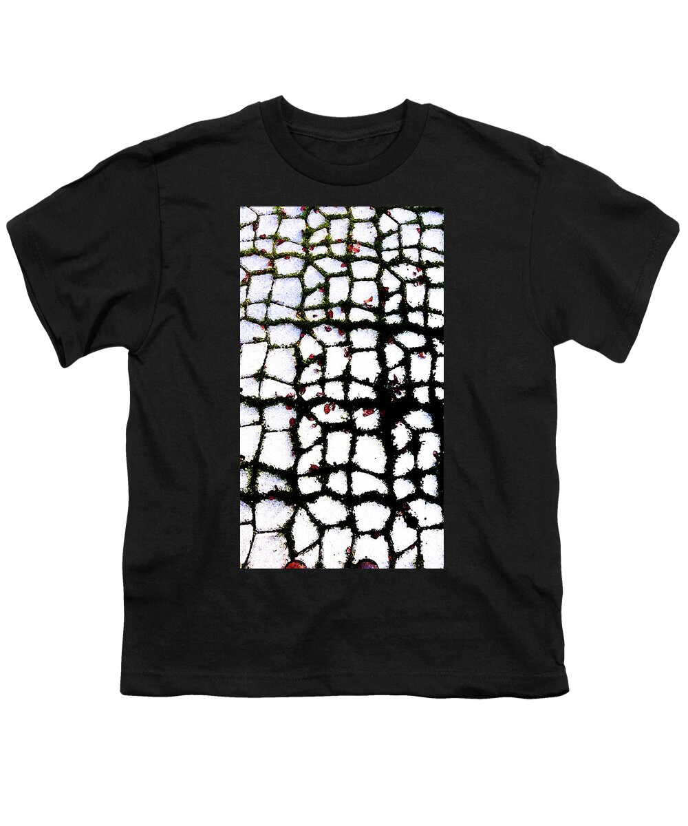 New Walkspot Youth T-Shirt featuring the digital art New Walkspot by Tom Janca