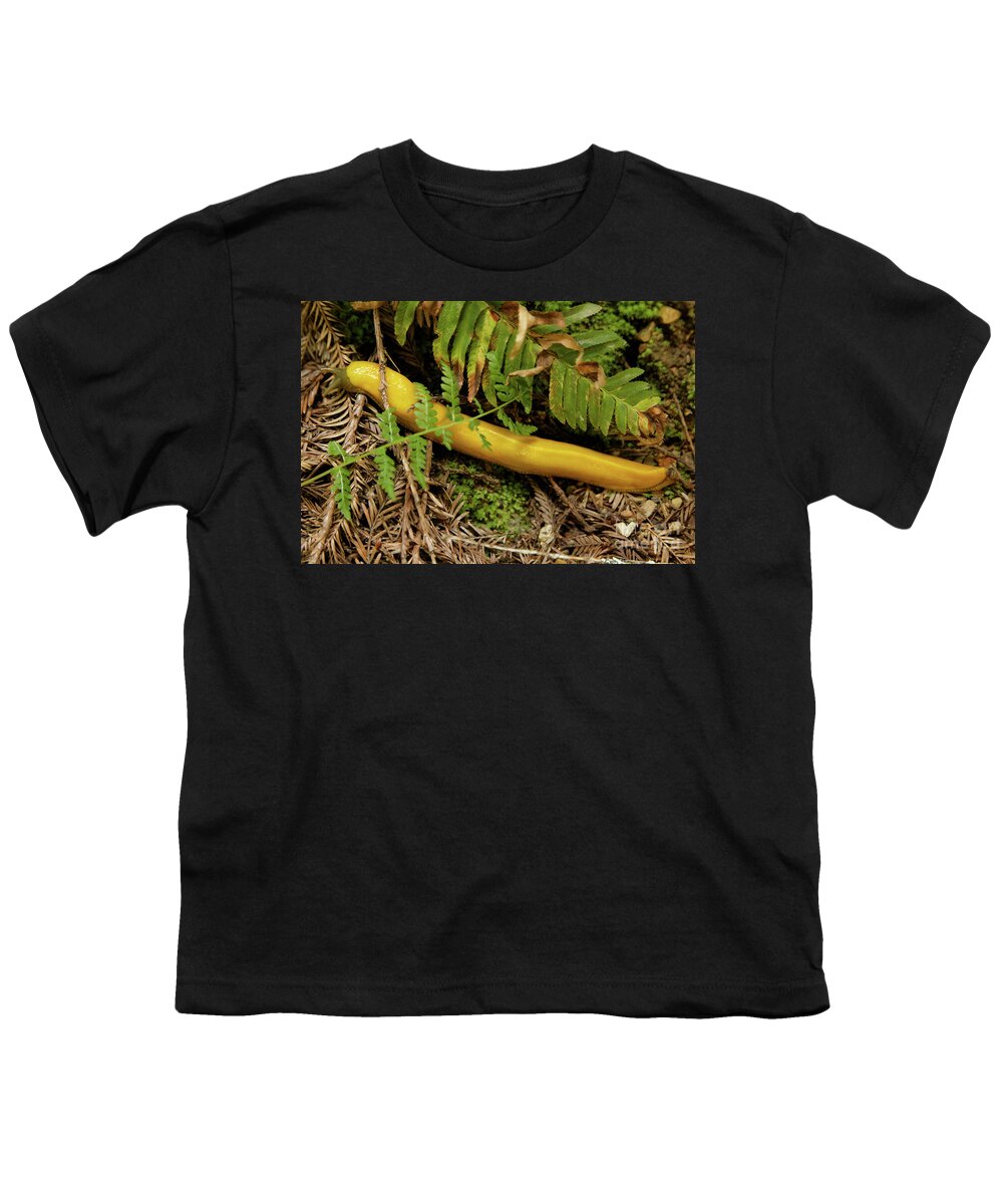 Slug Youth T-Shirt featuring the photograph Northern California Forest Floor Resident by Natural Focal Point Photography