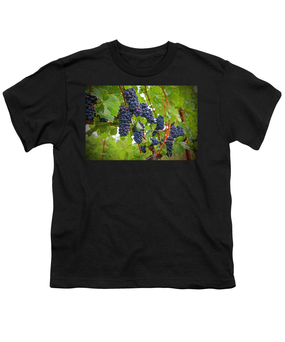 Grapes Youth T-Shirt featuring the photograph Pinot Noir by Dale R Carlson