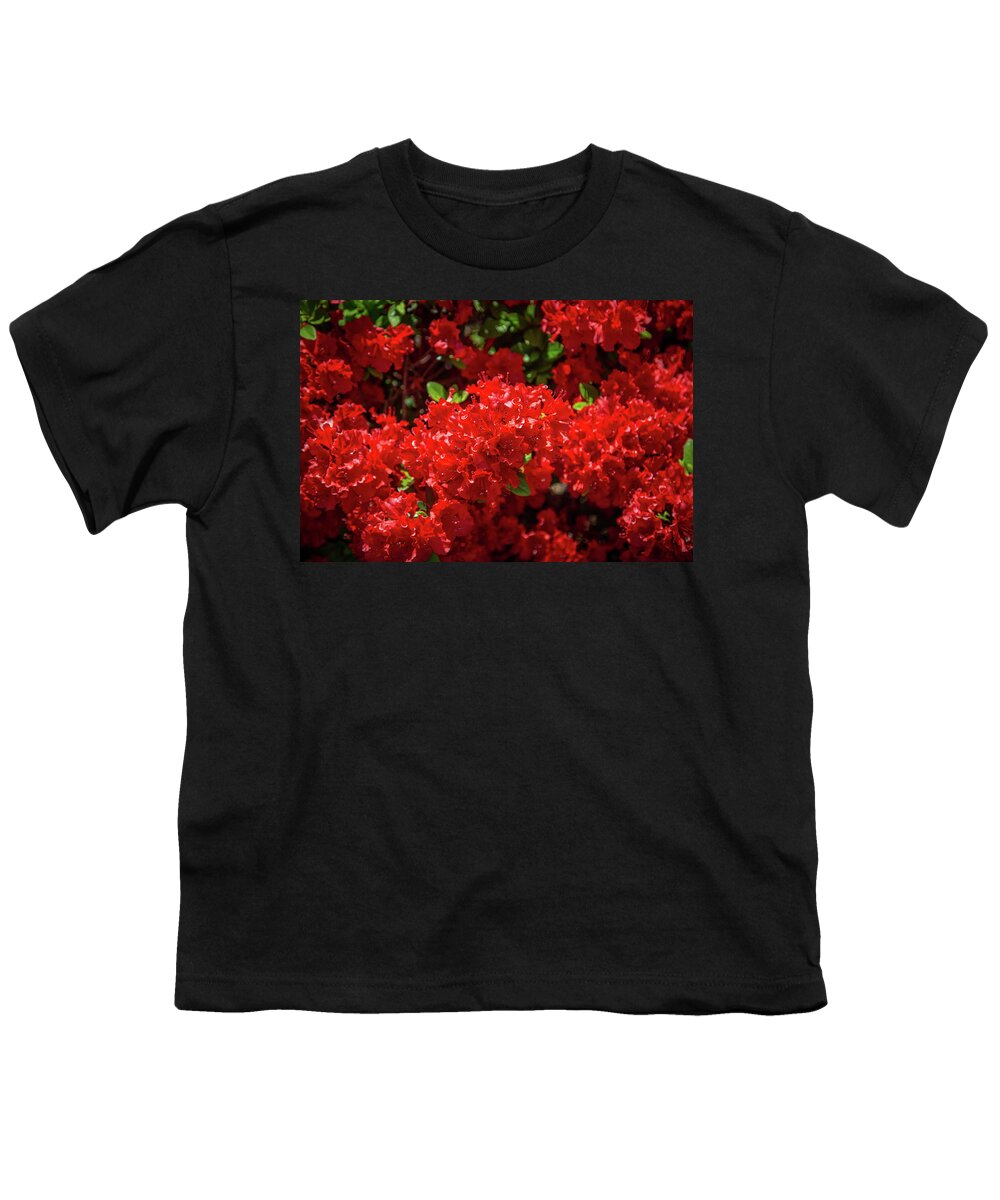 Flowers Youth T-Shirt featuring the photograph Red Flowers by Lora J Wilson