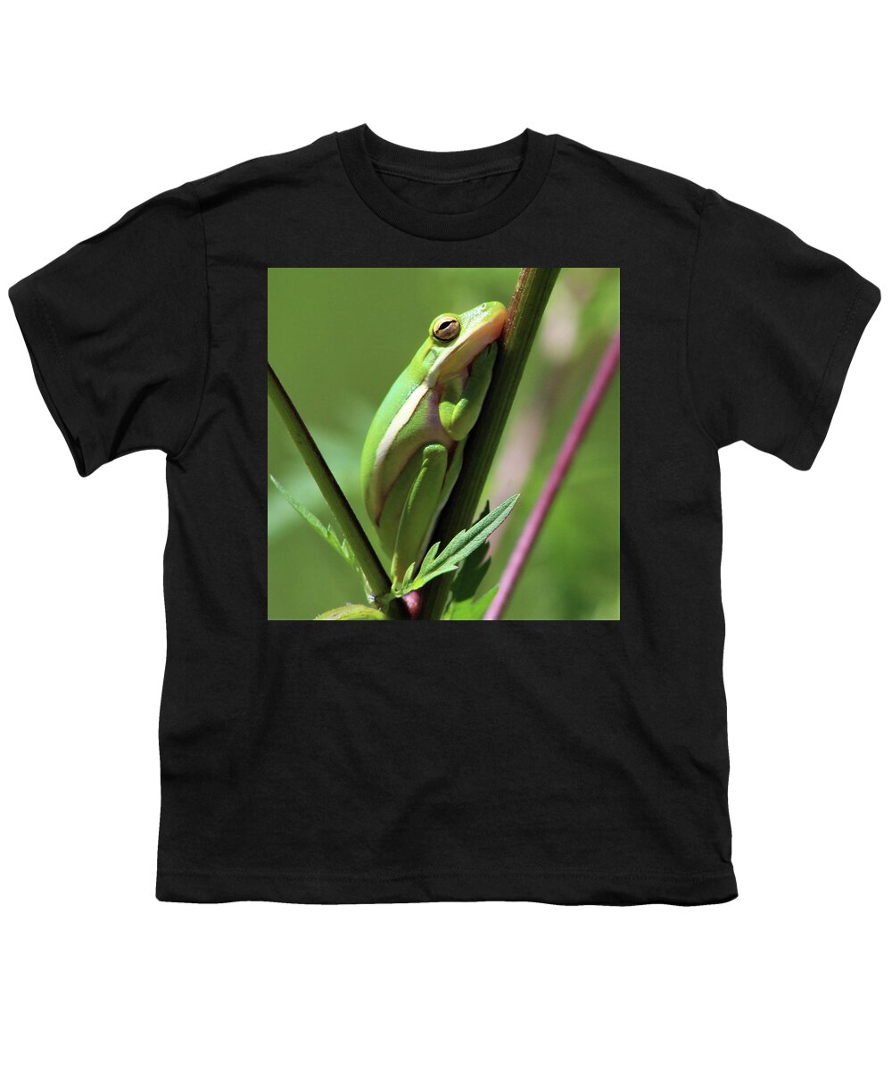 Frog Youth T-Shirt featuring the photograph Sleepy Time by Michael Allard