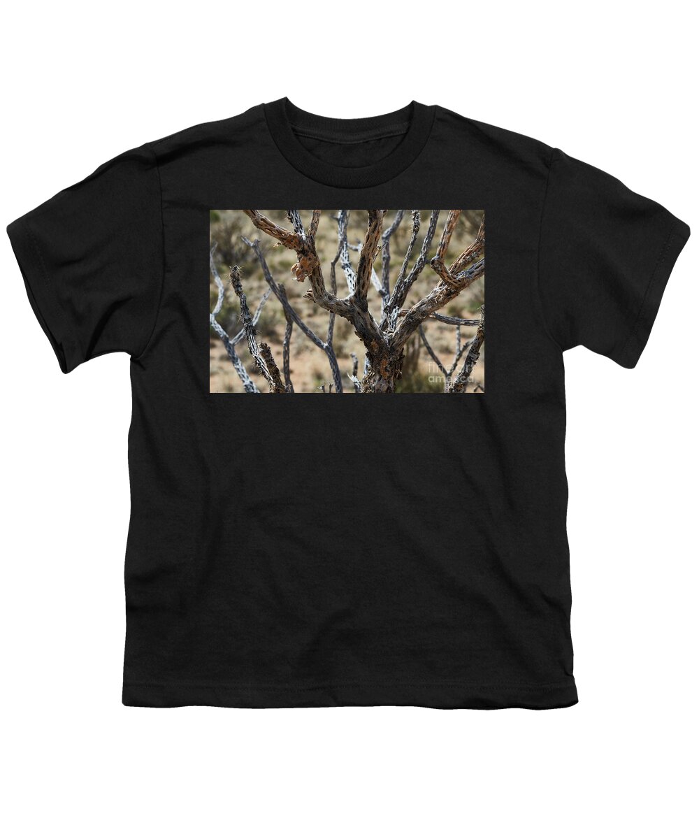 New Mexico Desert Youth T-Shirt featuring the photograph Southwest Cactus Wood by Robert WK Clark