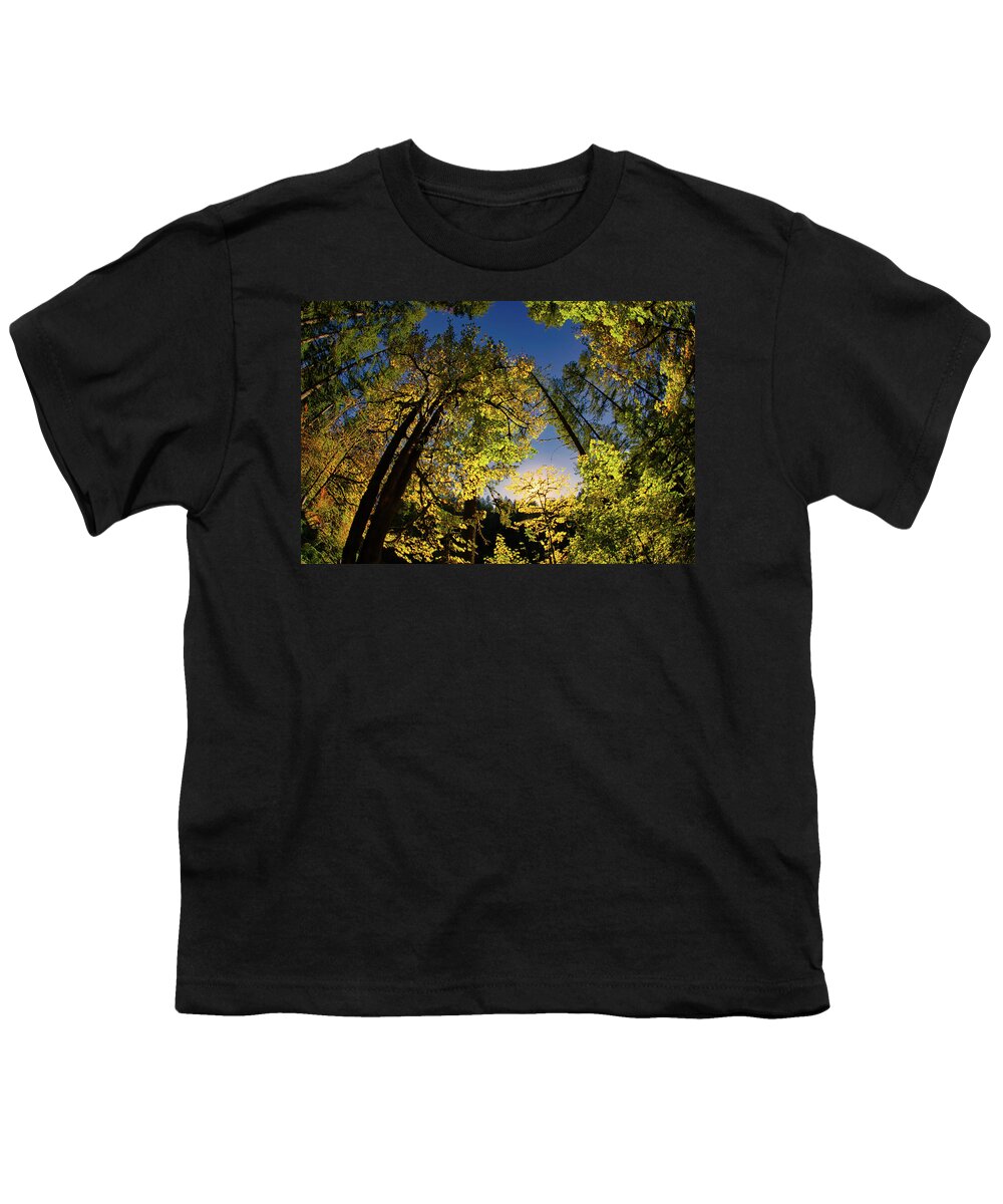 Sunrise Youth T-Shirt featuring the photograph Sunrise Over Forest by Bonnie Bruno