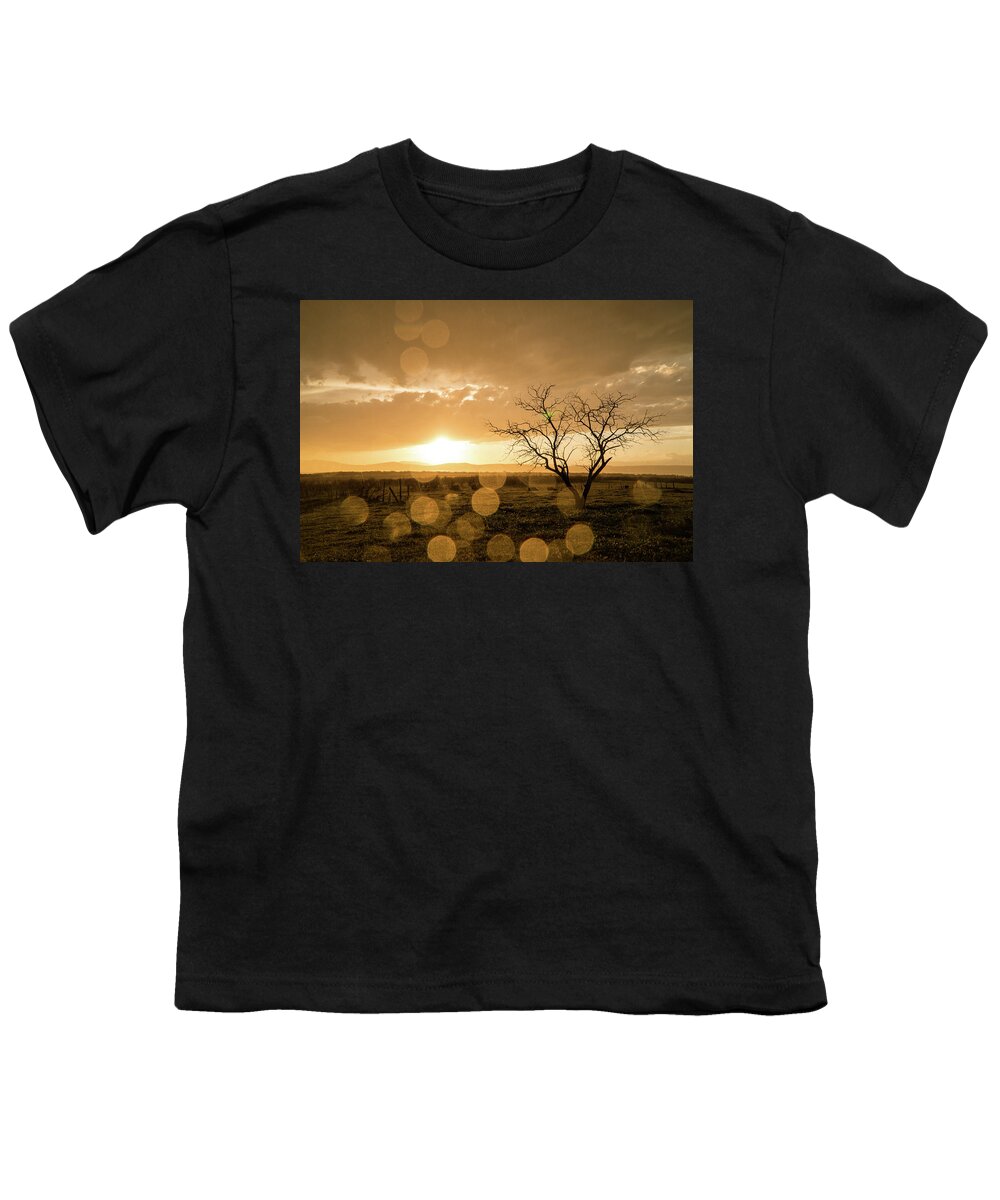 Sunset Youth T-Shirt featuring the photograph Tree Sunset by Wesley Aston