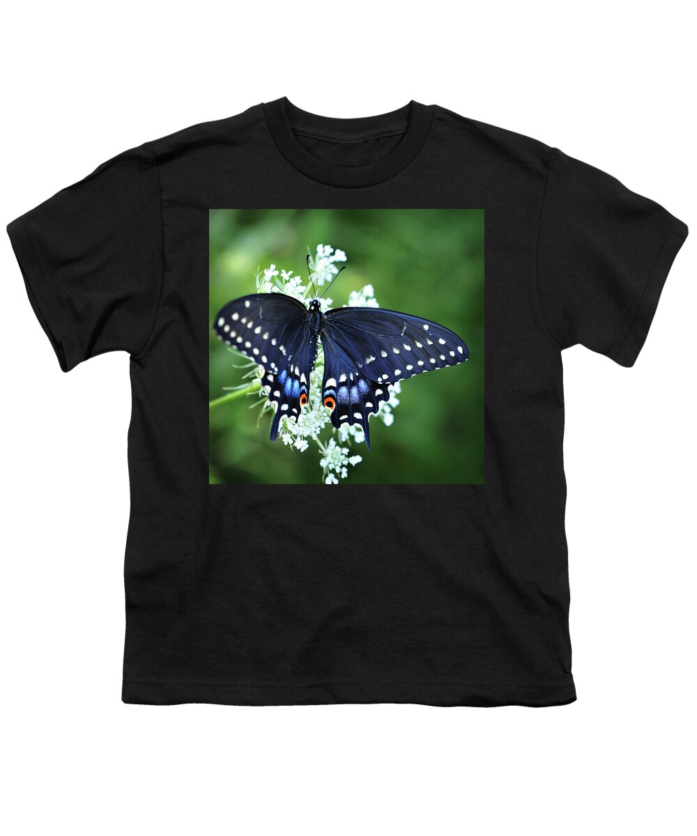 Swallowtail Butterfly Photography Youth T-Shirt featuring the photograph Wonder by Michelle Wermuth