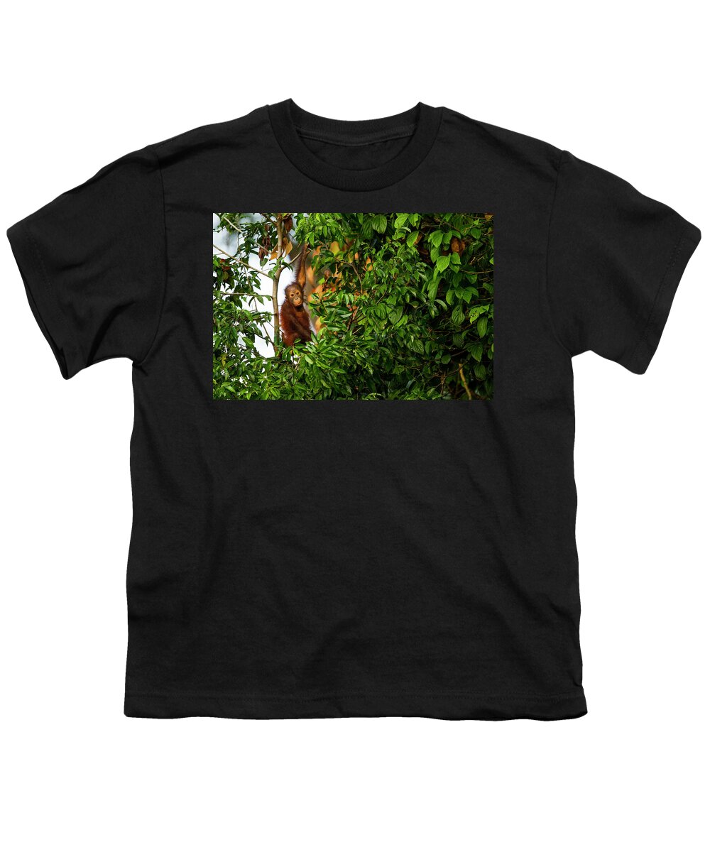 Sebastian Kennerknecht Youth T-Shirt featuring the photograph Young Orangutan In Sepilok by Sebastian Kennerknecht