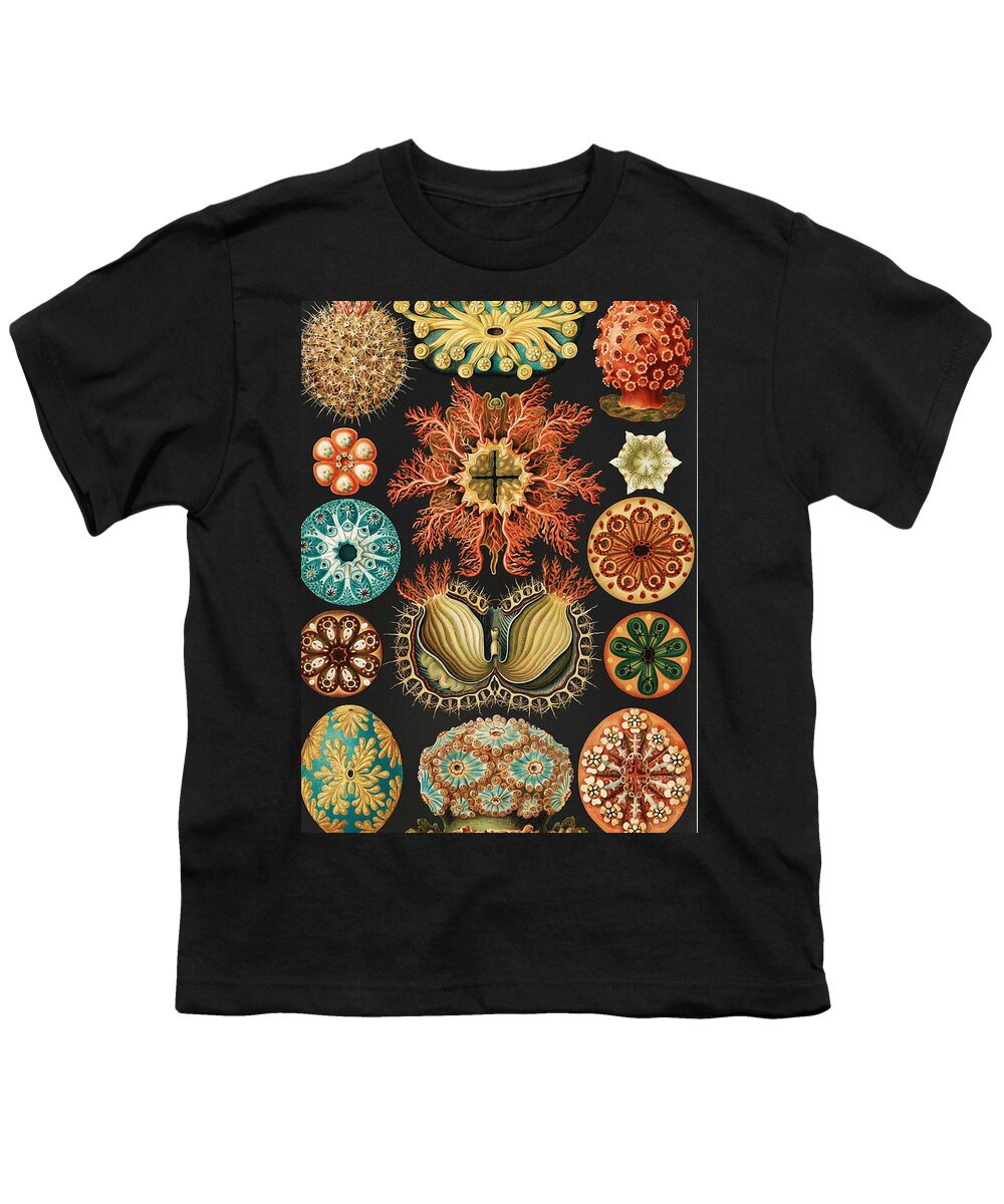 Arachnida Youth T-Shirt featuring the mixed media Ernst Haeckel Illustrations #1 by World Art Collective
