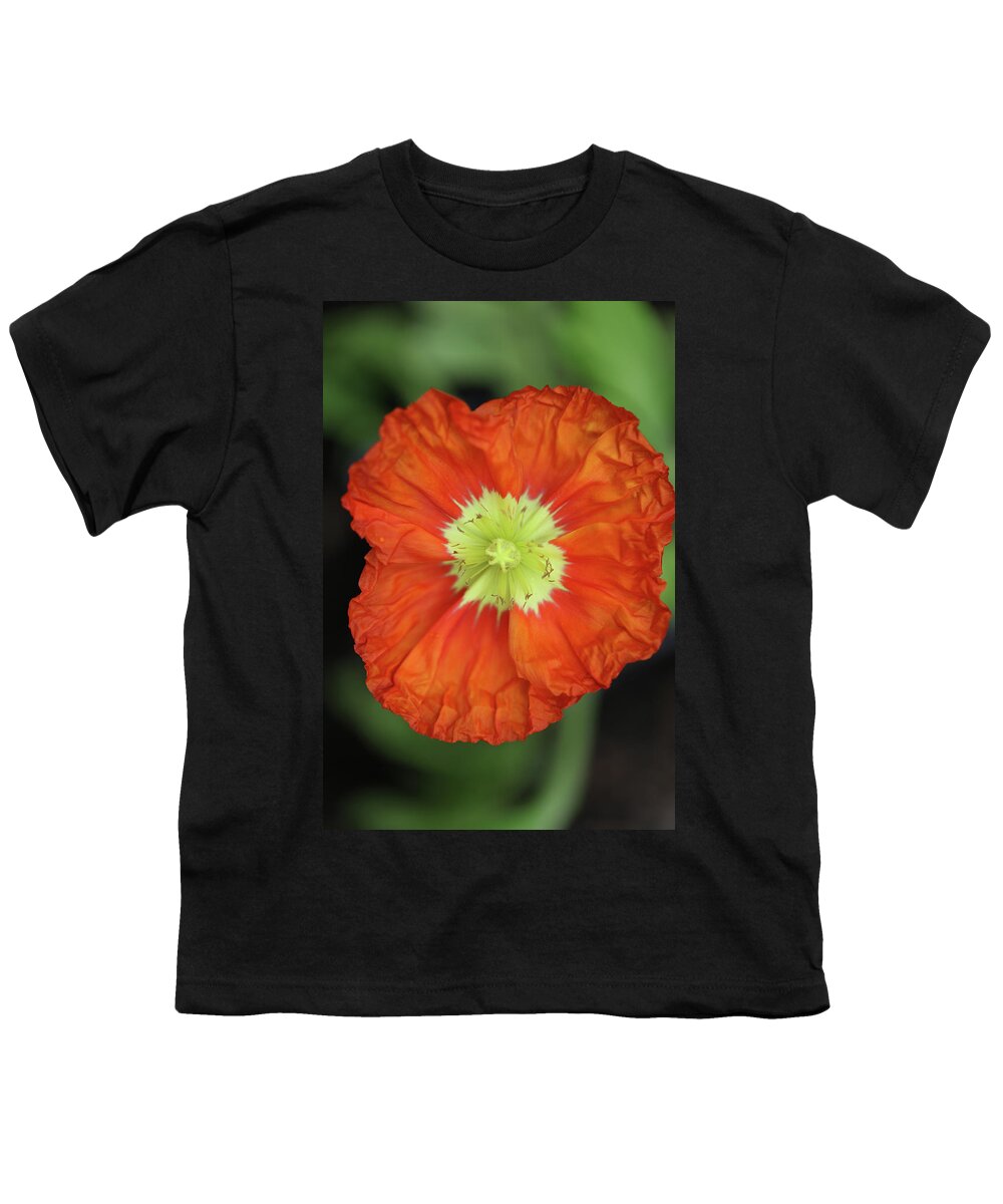 Iceland Poppy Youth T-Shirt featuring the photograph Iceland Poppy #1 by Tammy Pool