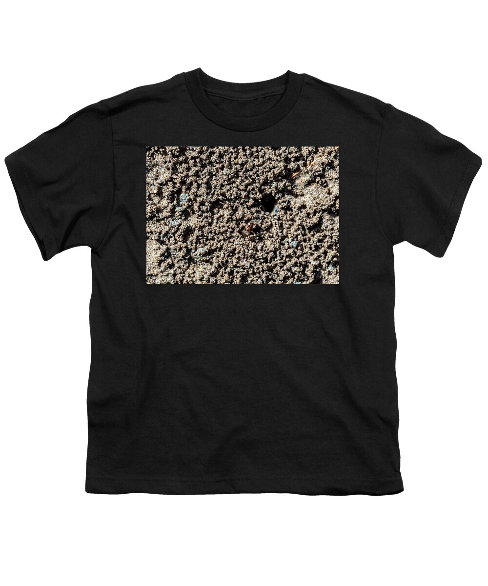 Animals Youth T-Shirt featuring the photograph Macro Photography - Ant #1 by Amelia Pearn
